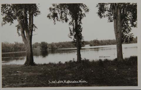 loglake