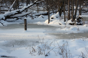 A11frozenswamp2