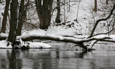 ARthornappleriver2