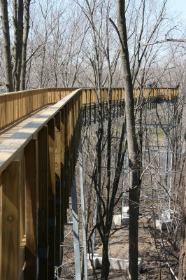 abtreetoptrail