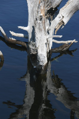 aqwatersculpture