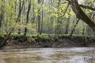 gwtriverside