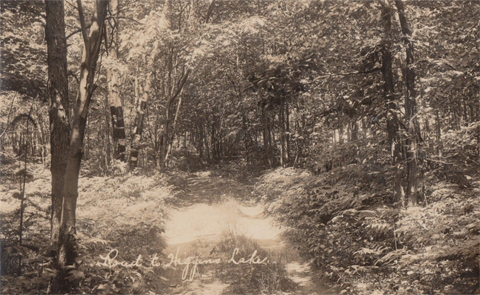 higgins lake 4