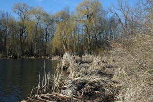 hollandlake