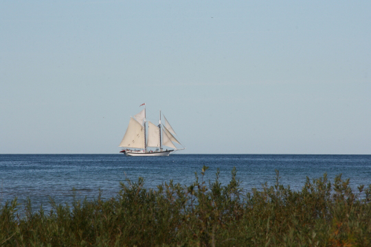 mlSailboat1