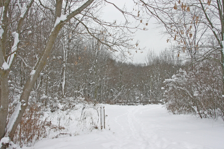 mlSeidman_Park1