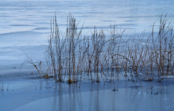 Headlake
