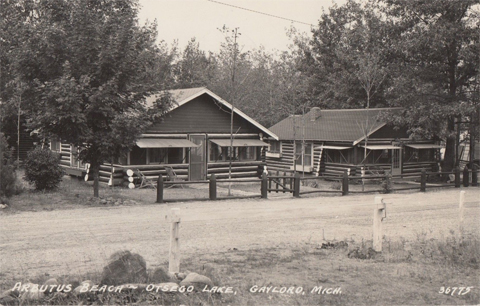 arbutus beach otsego lake