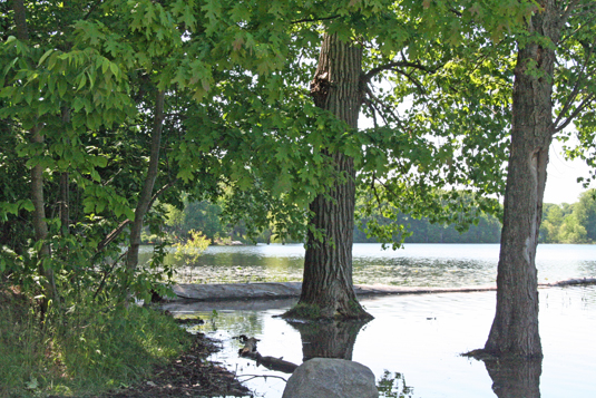 biglakeallegancounty