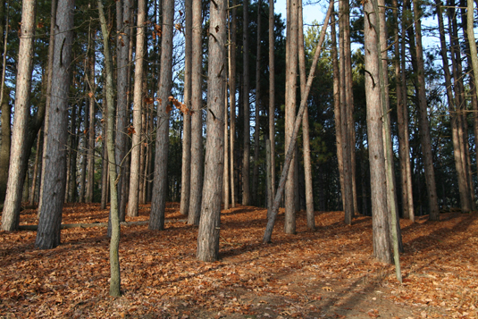 landcontract