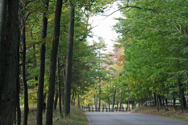michigancountryroad