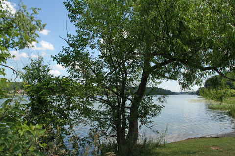 michiganlakesriparianrights