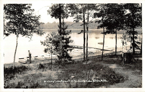 nichol lake bitely michigan