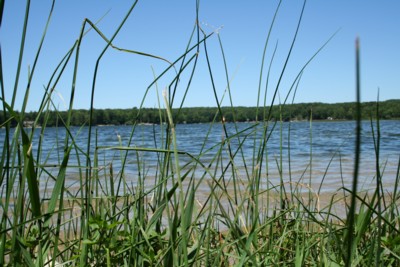 pickerellakenewaygocountymichigan