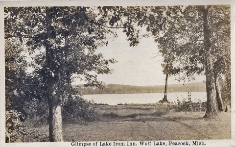 wolf lake lake county