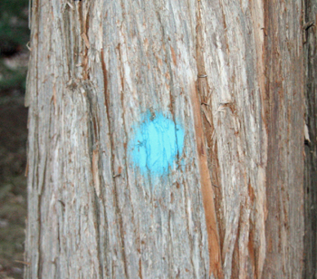 treepaint